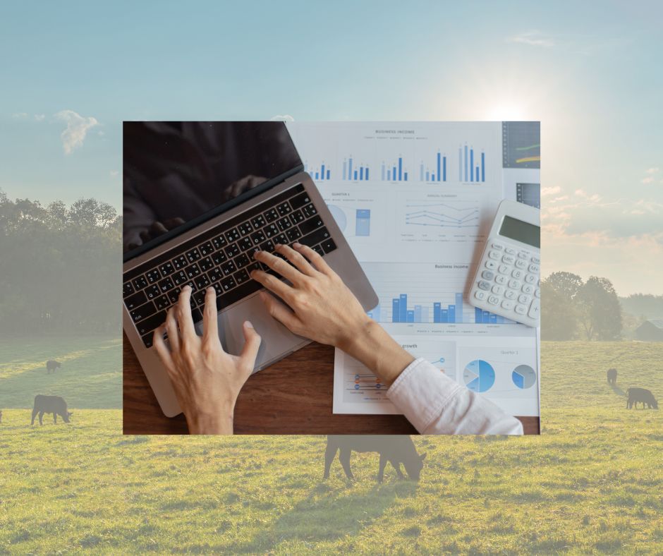 Working on budget photo